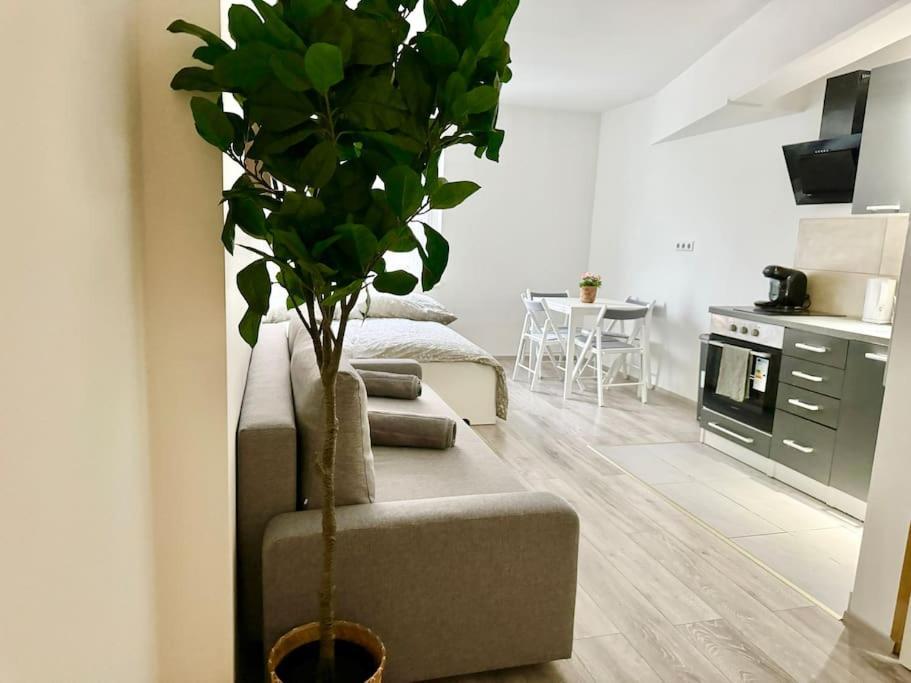 Stylish Schonbrunn Apartments - Free Underground Parking Viena Exterior foto
